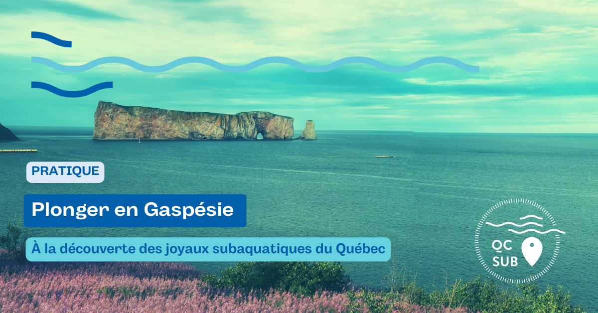 Plonger en Gaspésie – îles de la Madeleine