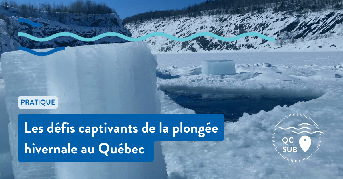 Les défis captivants de la plongée hivernale au Québec 