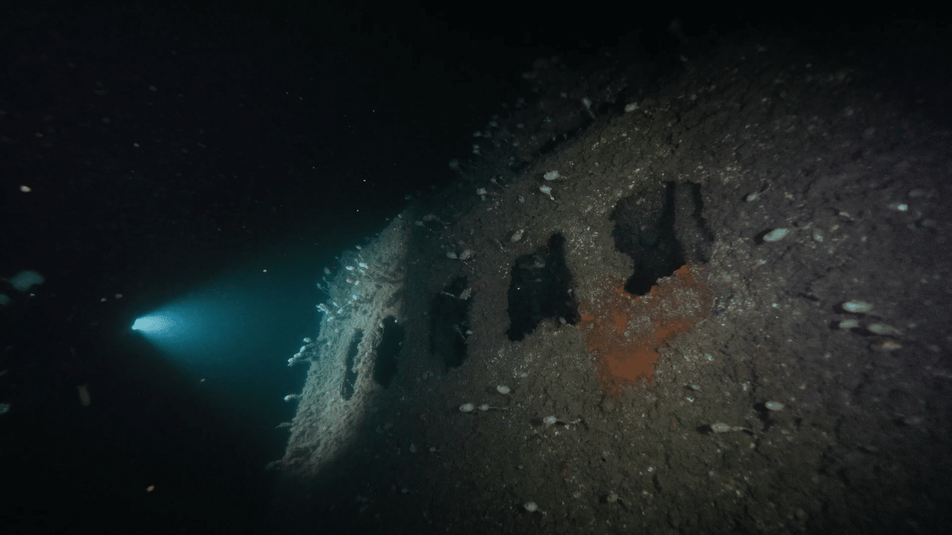 Plongée sous-marine d'épave