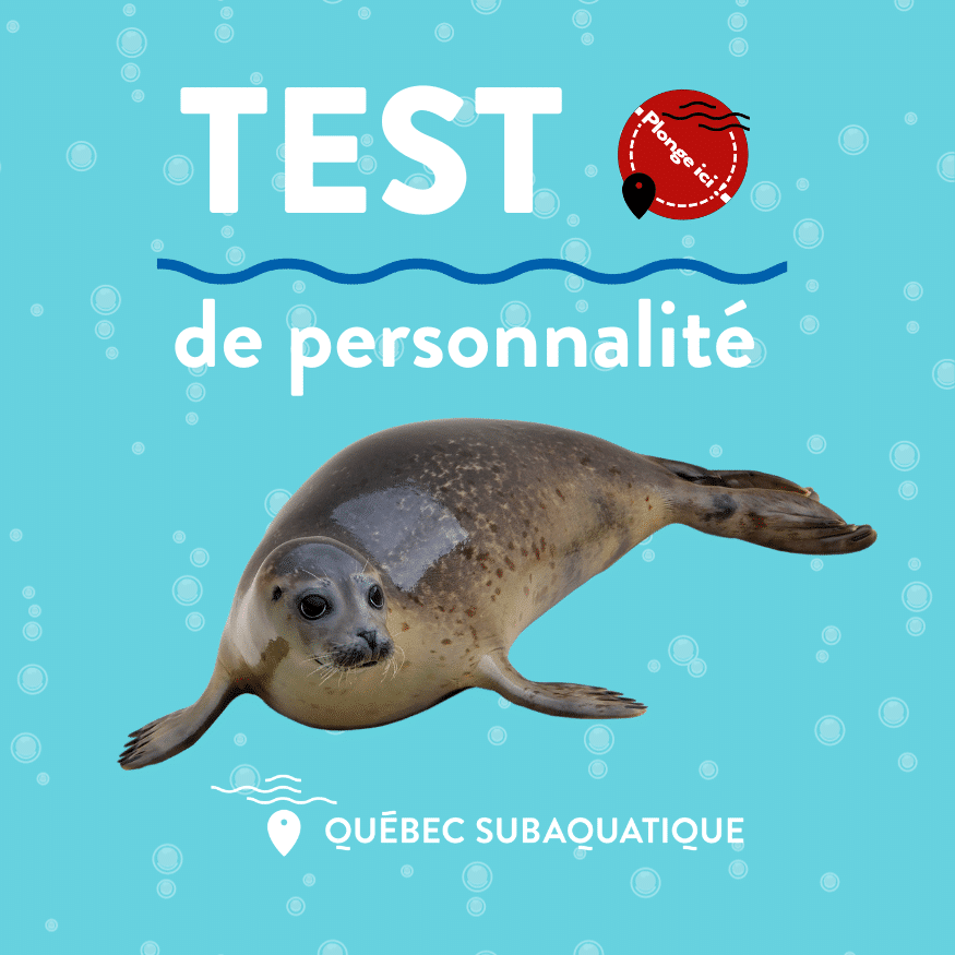 Test de personnalité subaquatique de Québec subaquatique