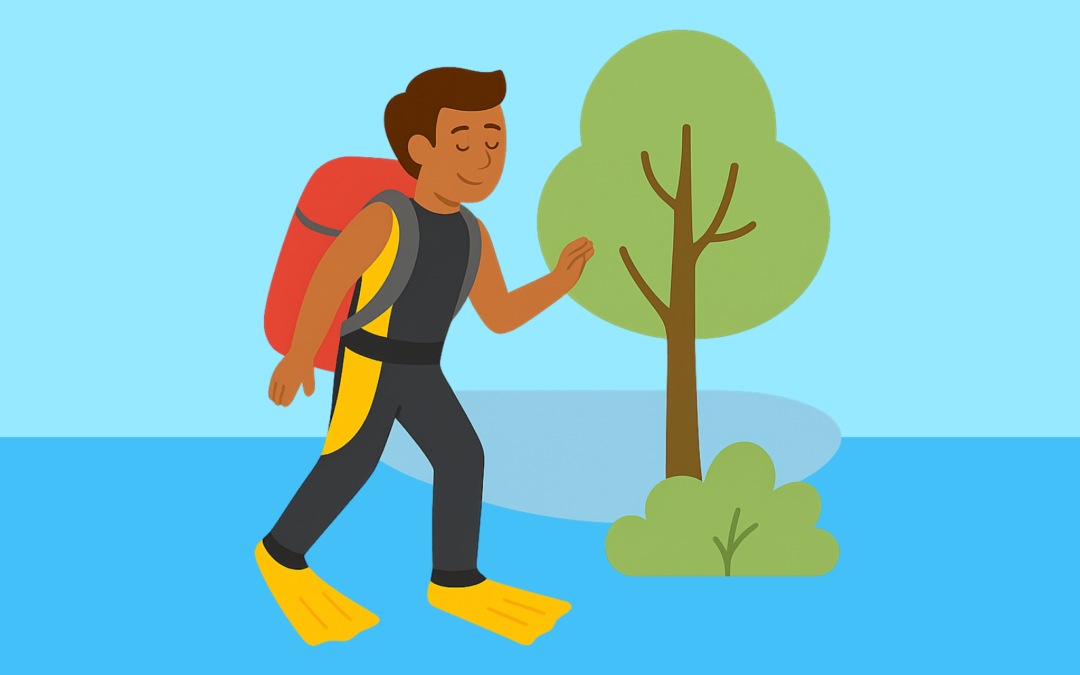 Active ta plongée ! – Mode de vie